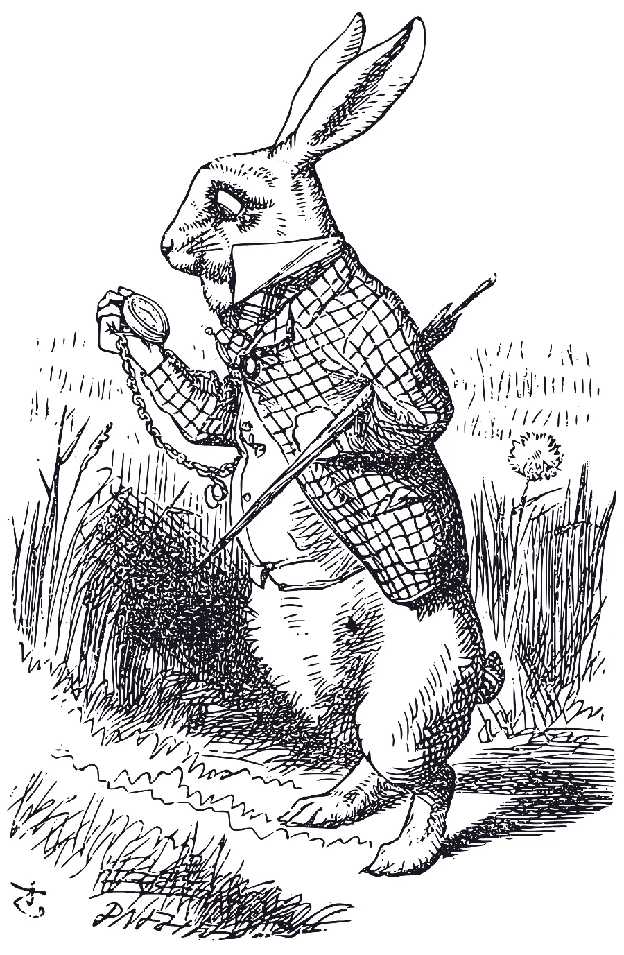El Conejo Blanco mira su reloj. Ilustración de John Tenniel.